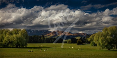 NEW ZEALAND The Key, South Island